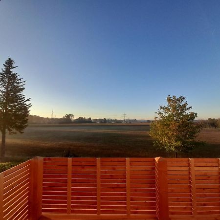ריינאו Badischer Neubau-Ruhe-Kunst-Natur מראה חיצוני תמונה