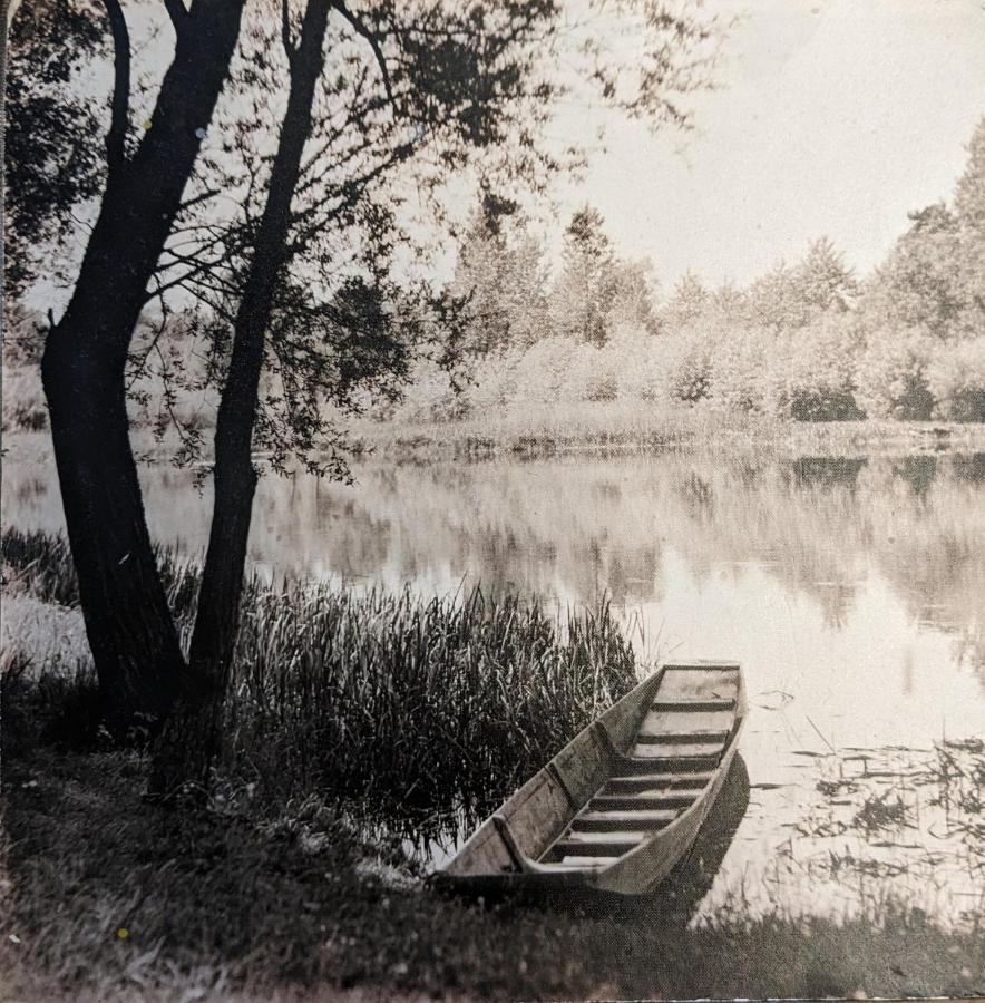ריינאו Badischer Neubau-Ruhe-Kunst-Natur מראה חיצוני תמונה
