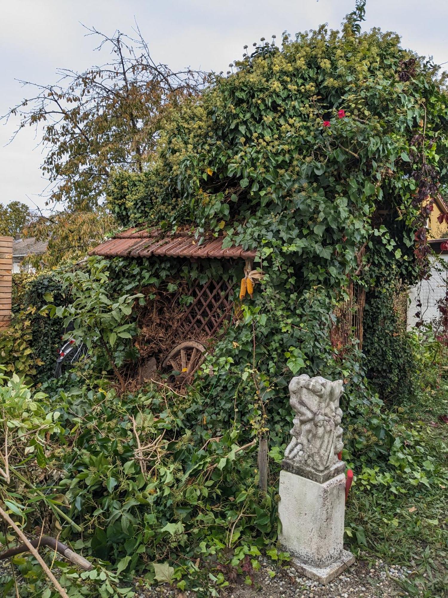 ריינאו Badischer Neubau-Ruhe-Kunst-Natur מראה חיצוני תמונה